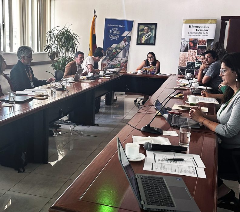 Comité Director evalúa avances y define estrategias